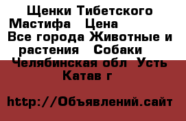 Щенки Тибетского Мастифа › Цена ­ 60 000 - Все города Животные и растения » Собаки   . Челябинская обл.,Усть-Катав г.